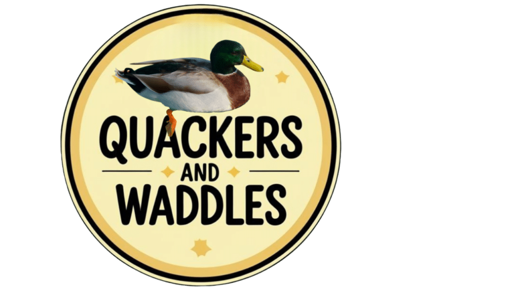 Quackers and Waddles