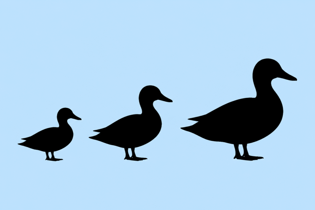 duck outlines